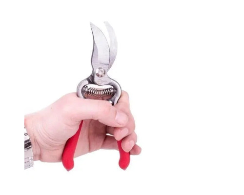 Секатор садовий Intertool 200 мм (FT-1003)